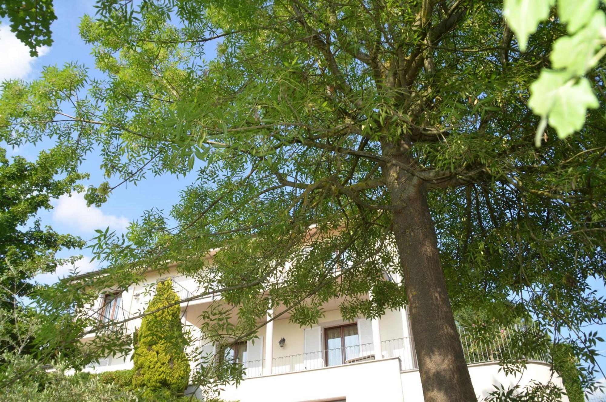 Villa Patrizia Moncalvo Zewnętrze zdjęcie